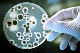 Can Bacteria Grow in Water Filters? A Water Safety Expert Reveals All